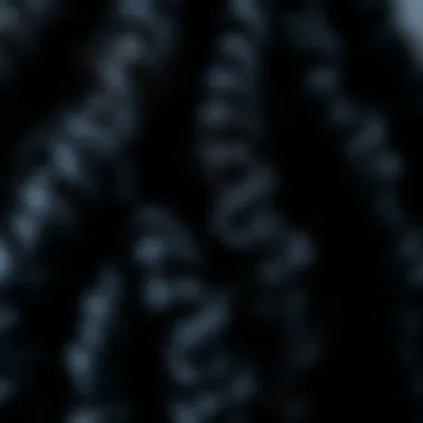 Close-up of the texture and curls of a braided curly wig emphasizing its quality.