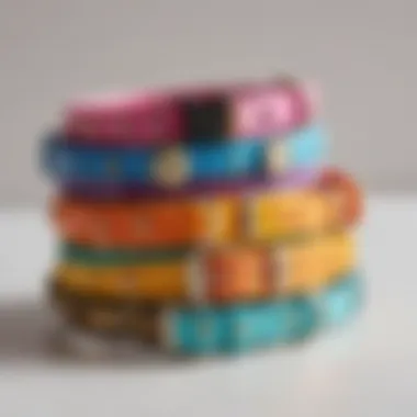 A Spectrum of Colorful Cat Collar Designs Variety of colorful cat collars on display