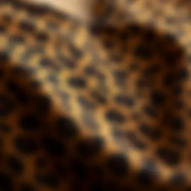 Close-up of leopard print fabric showcasing texture and pattern