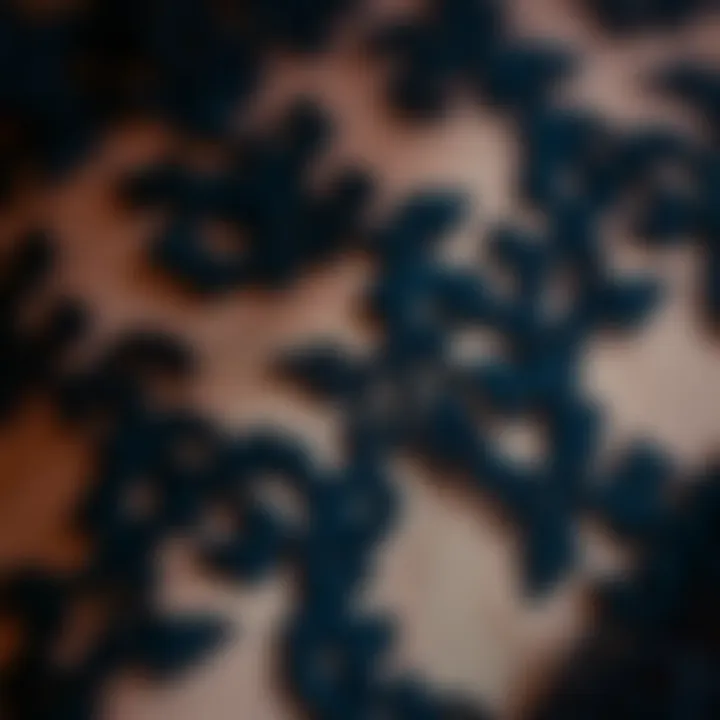 Close-up of luxurious black lace fabric texture