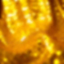 Glistening gold sequins reflecting light