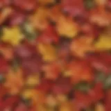 A detailed close-up of vibrant artificial autumn leaves showcasing intricate designs and colors