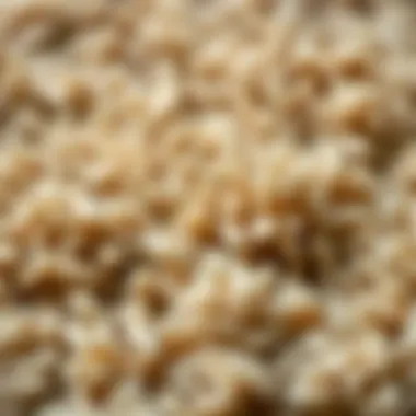 Diverse Materials in Shaggy Rug Craftsmanship Close-up of diverse materials used in shaggy rugs