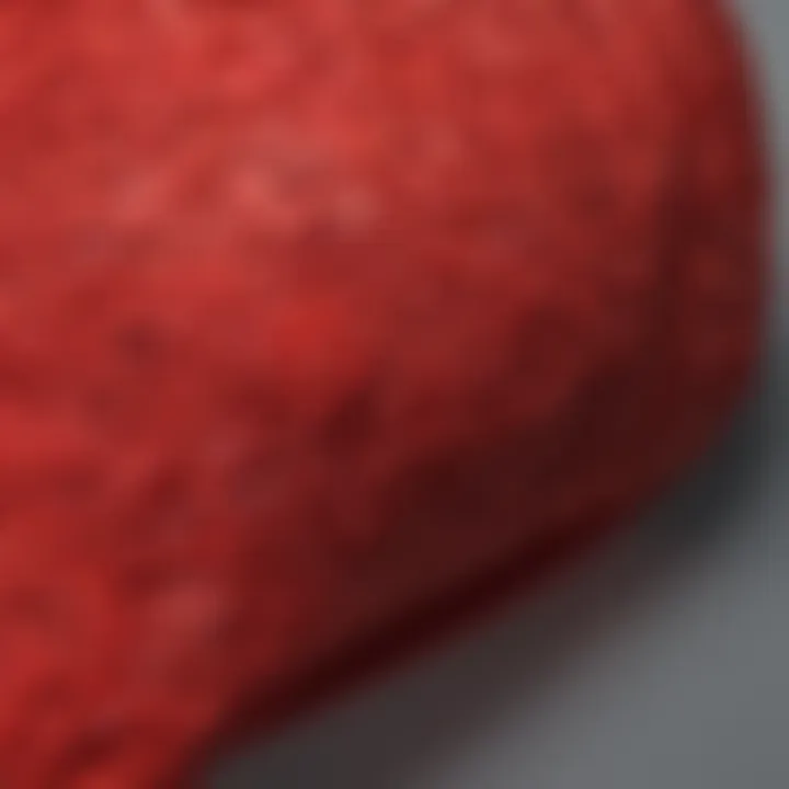 Close-up of intricate design details on a red swimsuit