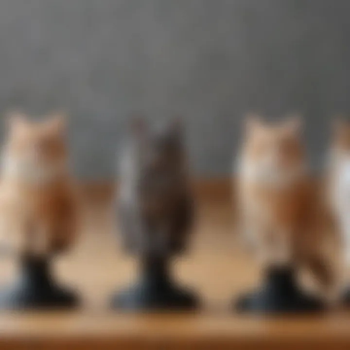 A detailed comparison of different types of cat hair catchers displayed on a table.